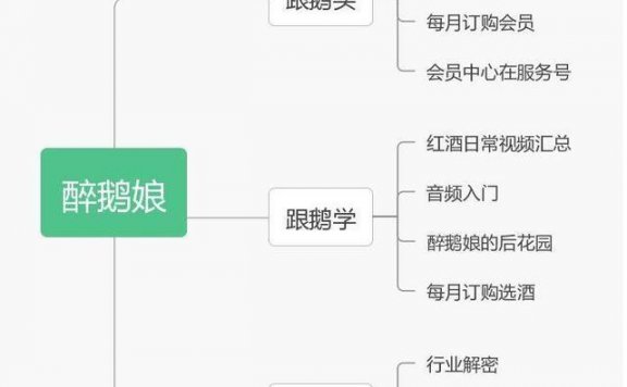 从“醉鹅娘”探“KOL+电商”的路