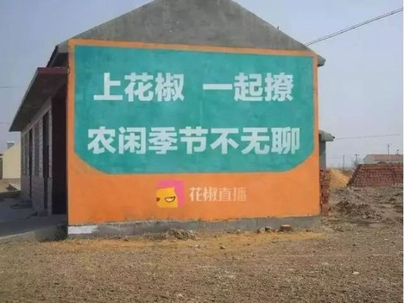 互联网公司为下乡真拼