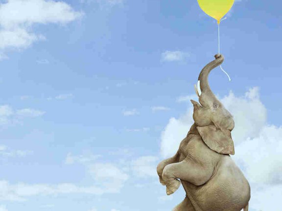 课程 07:微博营销 “逗比”的微博运营方法