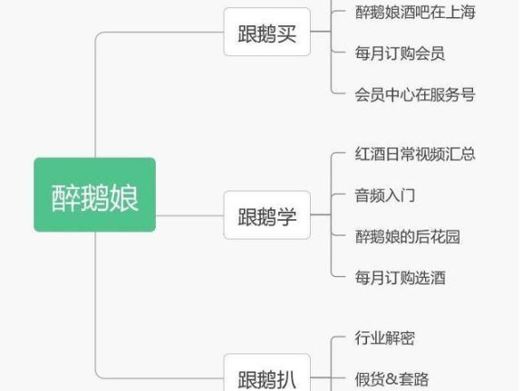 从“醉鹅娘”探“KOL+电商”的路