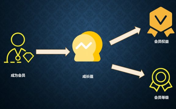 会员体系中的“成长值”和“会员分层”
