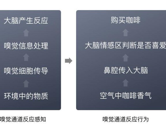 五维感官,品牌的第三维度