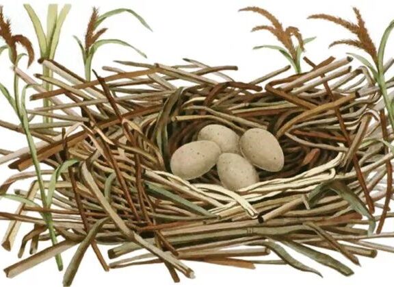 4招让产品卖点瞬间有画面感