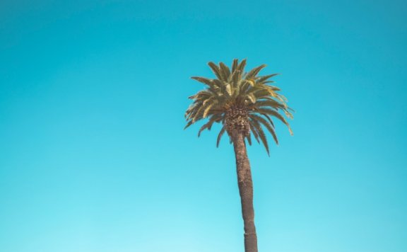 裂变三角,带你理清裂变底层逻辑