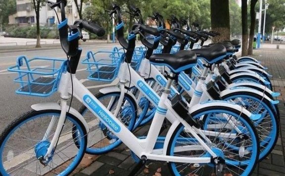 哈啰单车的人生逆袭