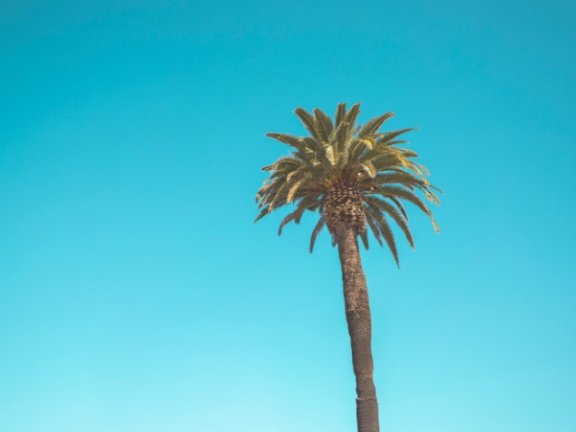 裂变三角,带你理清裂变底层逻辑