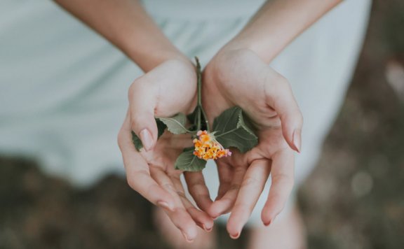 从战略到落地运营增长策略