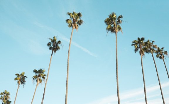 运营的竞品调研分析怎么做