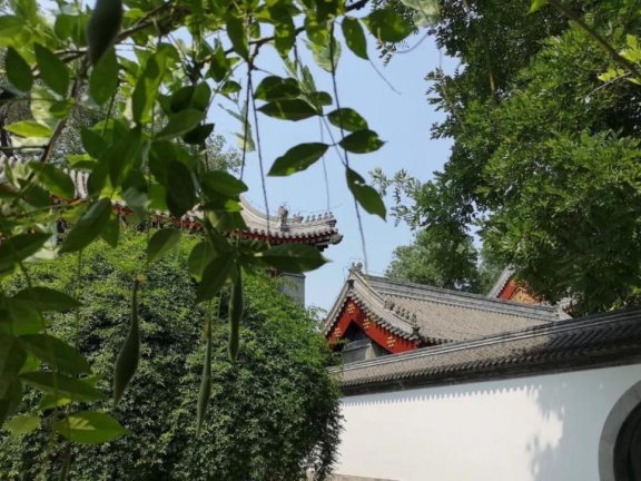 社区团长如何精细化运营社群