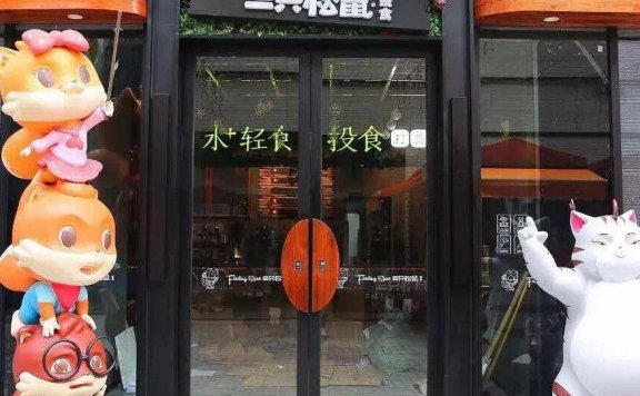 三只松鼠从淘宝店铺到上市公司