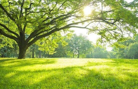 趣味内容的传播奥秘解析