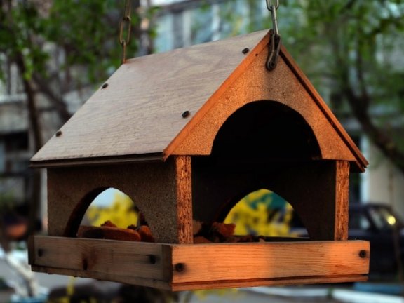 社区活动是如何策划的