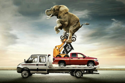 品牌年轻化攻略