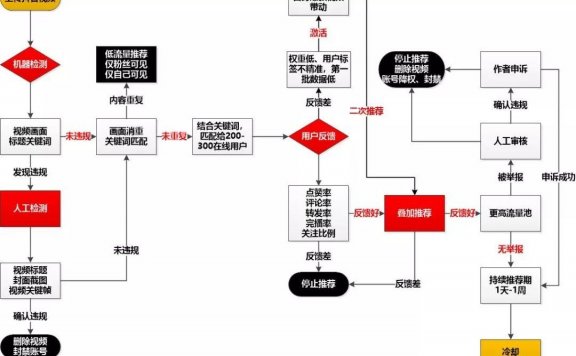 短视频运营技巧指南