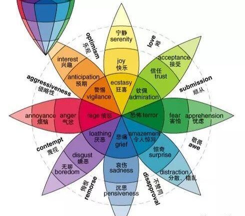 人设对运营的重要性