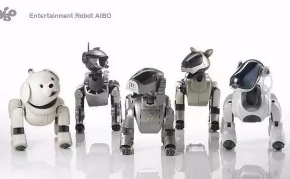 产品是死的但你是活的