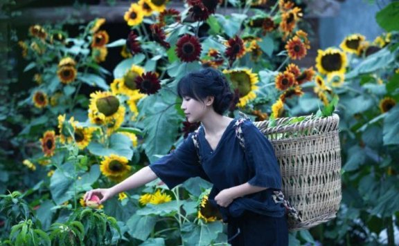 短视频的下沉之战