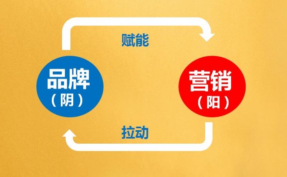 品牌的诞生与发展