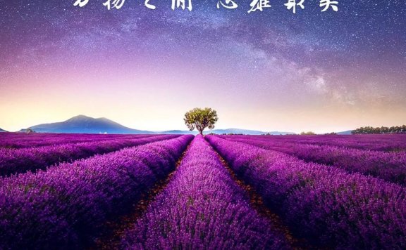 查理芒格的100个思维模型