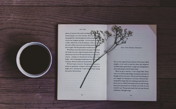 起标题的3大雷区