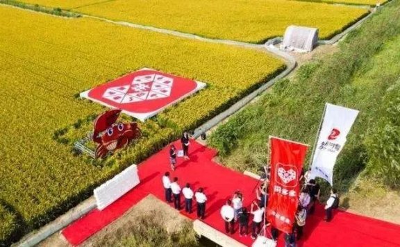 拼多多的破局之路