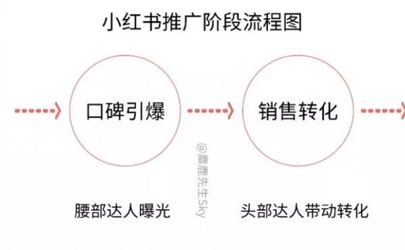 小红书品牌广告投放