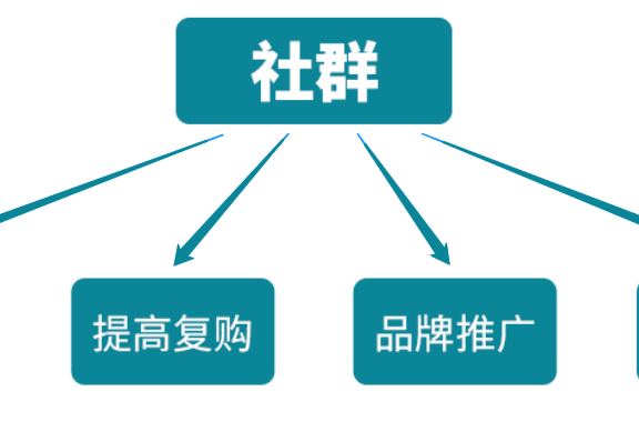 从0到万人社群的方法论案例复盘
