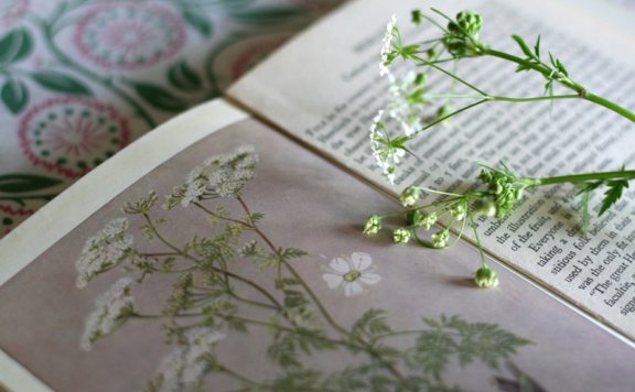 名人荐书的本质