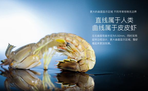 高转化率详情页案例拆解