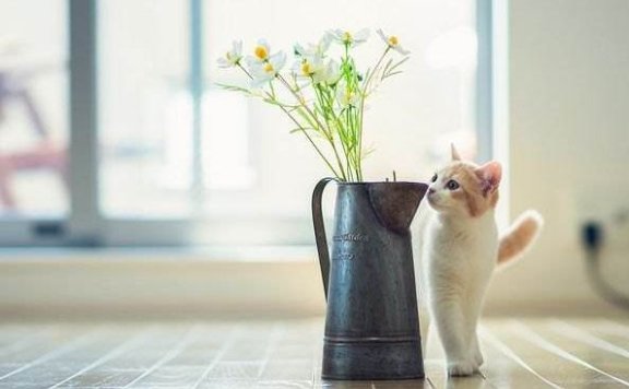 互联网营销运营人进阶指南