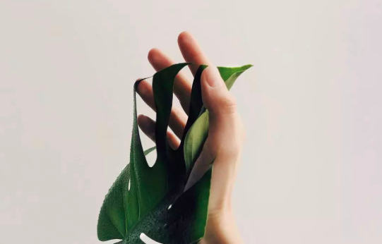 如何拥有很好的用户口碑