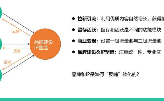 用户社群的品牌化与IP化探析