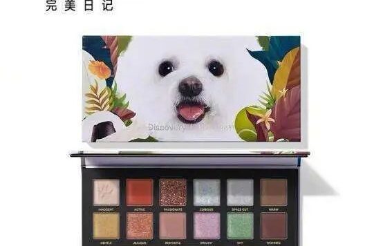 “小屏时代”的个人和品牌