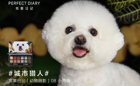 品牌营销帮助企业实现增长的方式