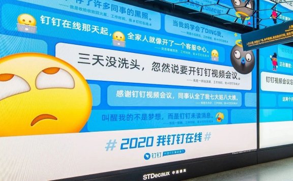 钉钉的出道爆红之路