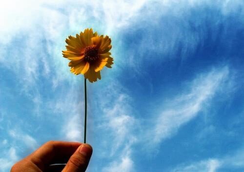 适合5月发的朋友圈文案