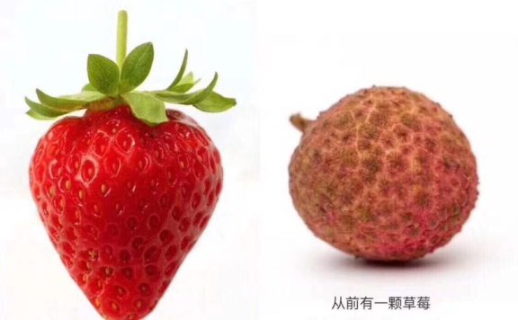 代购文案的创意鉴赏