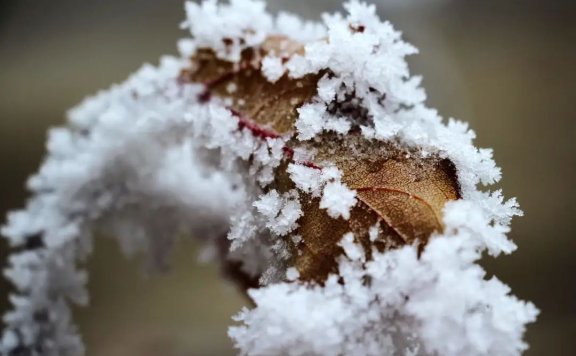 文案快速入门指南