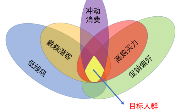 电商活动大促：目标客群与标签体系