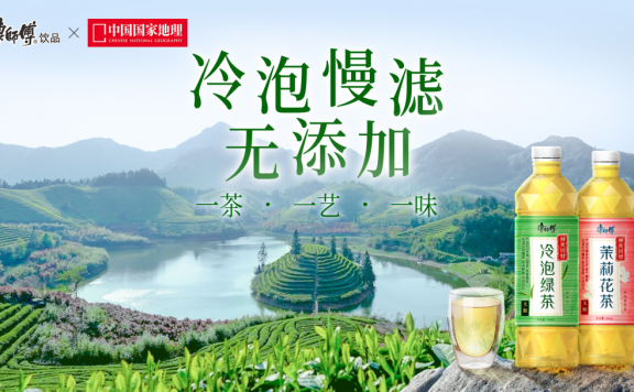 康师傅冷泡绿茶与茉莉花茶的品牌营销