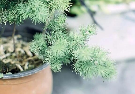 适合朋友圈发的秒赞文案