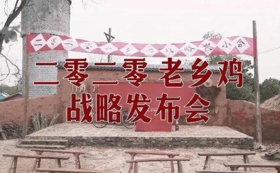 2020十大营销现象盘点