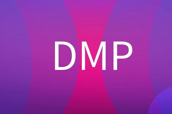 DMP是什么意思?