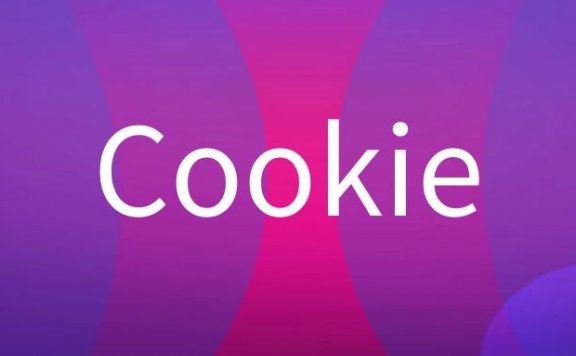 Cookie是什么意思?