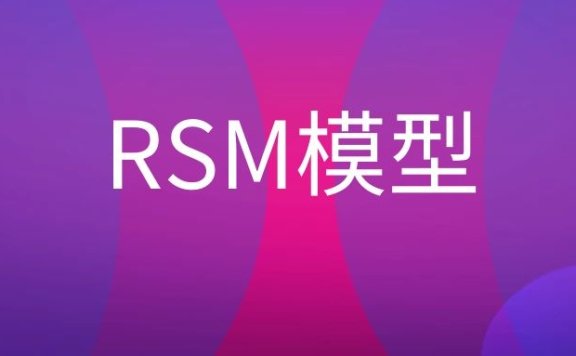RSM模型是什么意思？