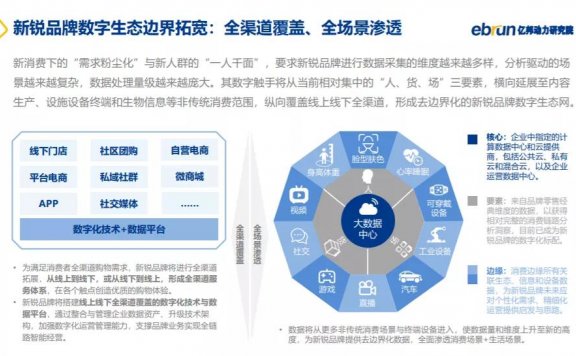 品牌如何从“现象级网红”进化为“持续性长红”