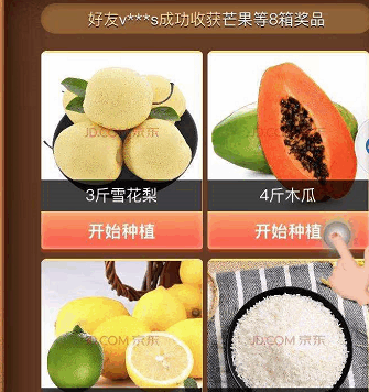 东东农场免费水果送到家案例点评