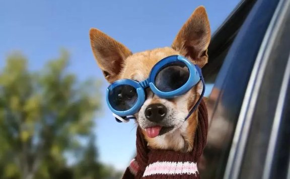 文案人脑洞创意练习指南