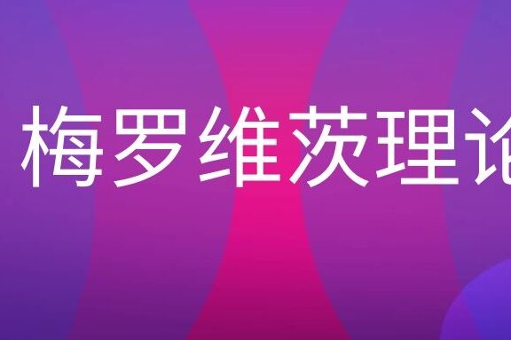 梅罗维茨理论的名词解释