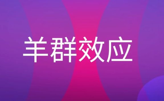 羊群效应是什么意思？